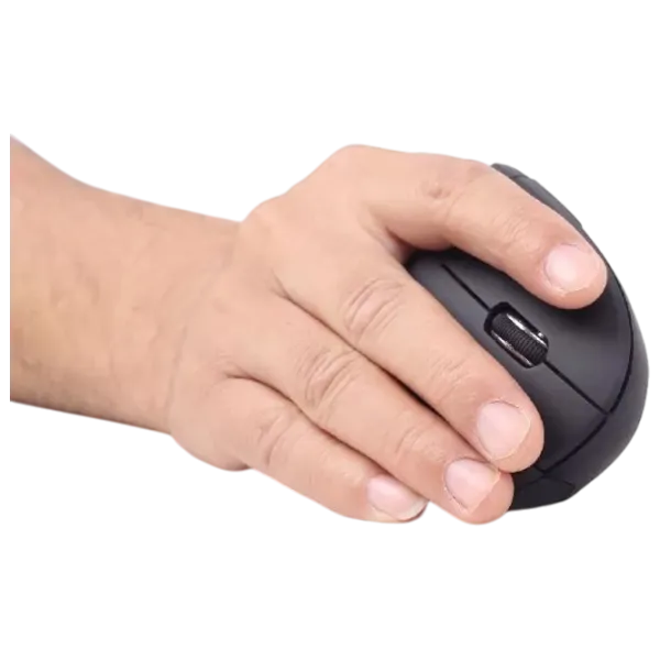 Mouse Gembird MUSW-ERGO-01 Black photo 4