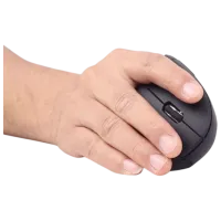 Mouse Gembird MUSW-ERGO-01 Black photo 4