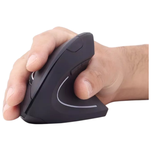 Mouse Gembird MUSW-ERGO-01 Black photo 5