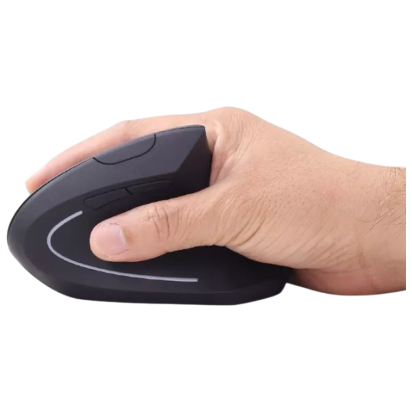 Mouse Gembird MUSW-ERGO-01 Black photo 6