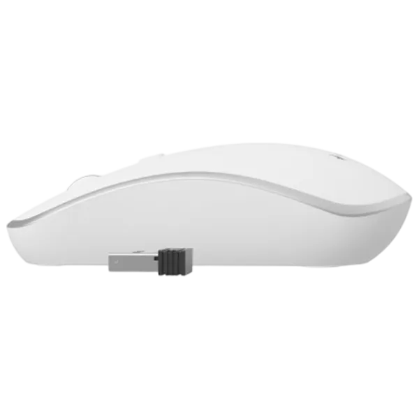 Mouse Gembird MUSW-4B-06-WS White photo 4