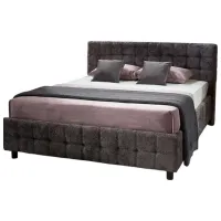 Pat Ambianta Rio 180 x 200 cm / PAL / Dark Gray