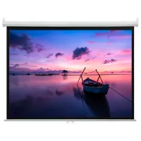 Ecran pentru proiector Sopar New Platinum 208 cm / 300 cm / Pe perete / White photo 2