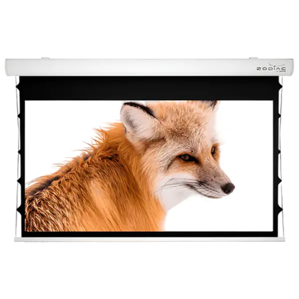 Ecran pentru proiector Sopar Taurus Tensioned 221 cm / 300 cm / Pe perete / White photo 1