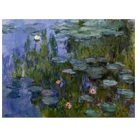 Puzzle Londji Nympheas Monet 6+/ Numărul de piese: 150