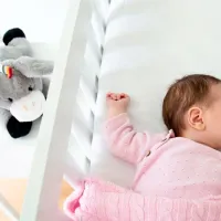 Интерактивная игрушка Zazu Animals Don Baby Sleep Soother 0+ / Серый photo 2