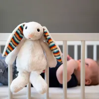 Интерактивная игрушка Zazu Animals Bibi Baby Sleep Soother 0+ / Белый photo 3