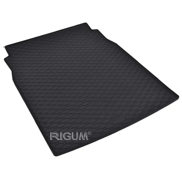 Covorașe auto BMW 5 Series 2004 - Rigum / 17131 photo 1