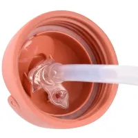 Sticluță cu pai Beaba Terracotta 0.3l 8 luni / Tritan / Brown photo 4