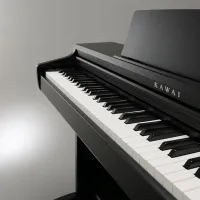 Цифровой пиан Kawai KDP75B Акустический / 88 клавиш / Split / Черный photo 2