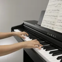 Цифровой пиан Kawai KDP75B Акустический / 88 клавиш / Split / Черный photo 4