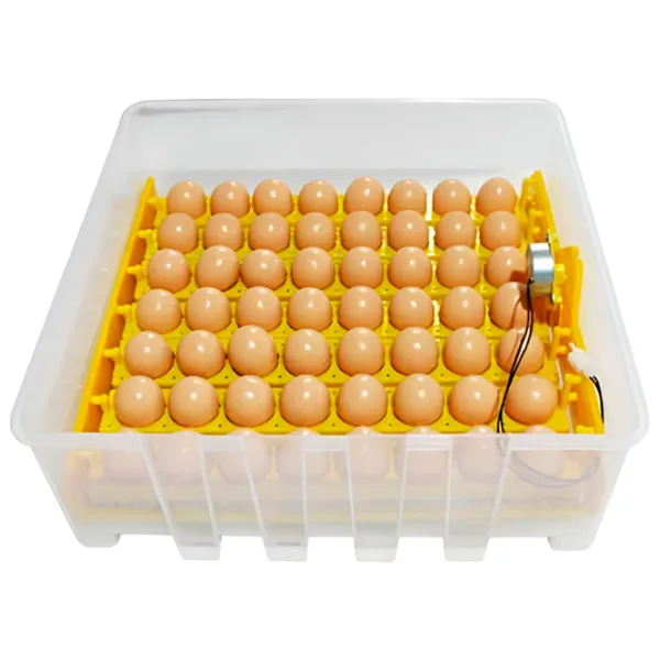 Incubator Tehno MS MS-56 220 V photo 4