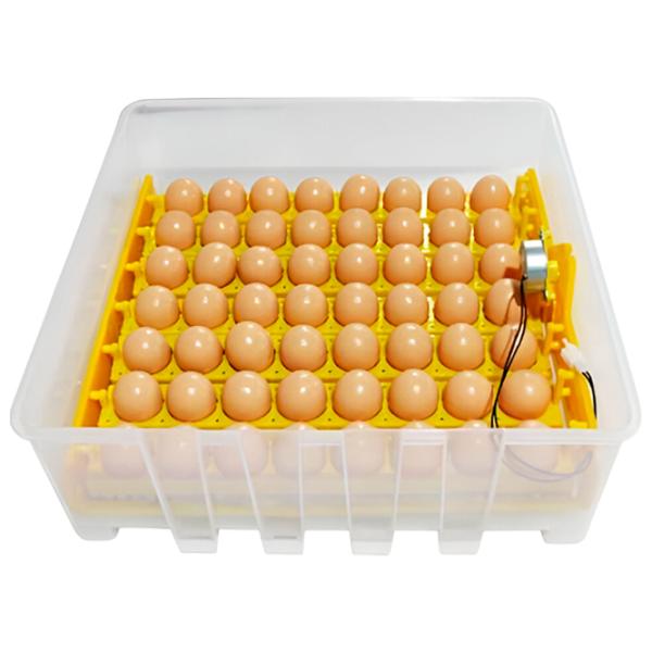 Incubator Tehno MS MS-56 220 V photo 4