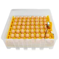 Инкубатор Tehno MS MS-56 220 В photo 4