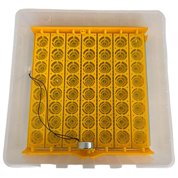 Incubator Tehno MS MS-56 220 V photo 5