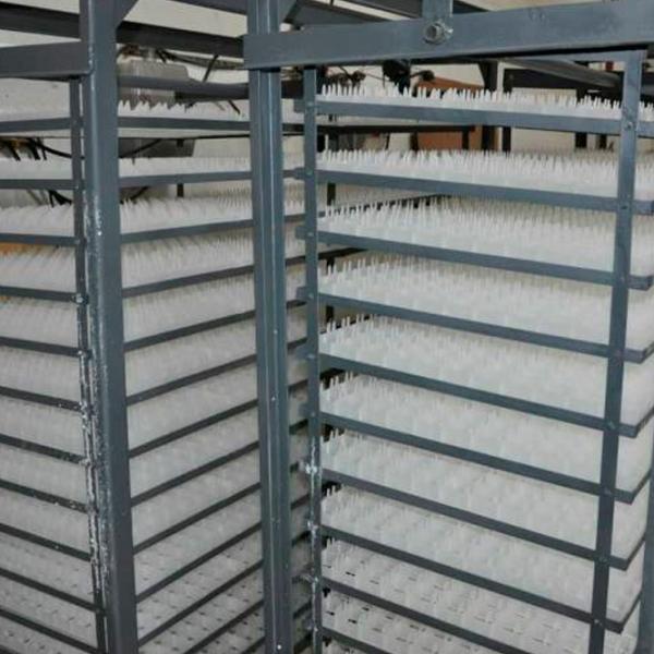 Incubator Tehno MS MS-5280 220 V photo 2