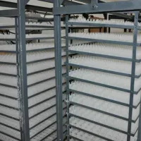 Инкубатор Tehno MS MS-5280 220 В photo 2