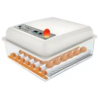 Инкубатор Tehno MS MS-36 NEW 220 В