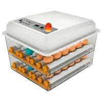 Инкубатор Tehno MS MS-120 NEW 220 В