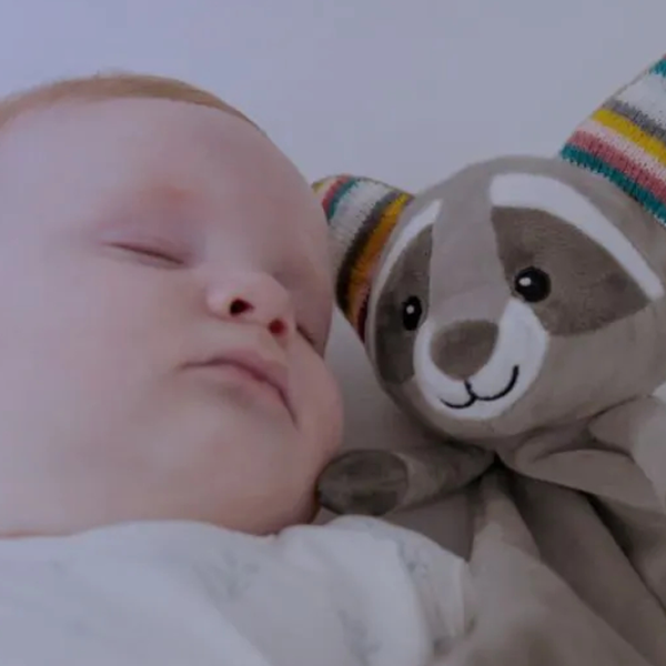 Одеяло Zazu ROBIN baby comforter  Бархат / Бежевый photo 2