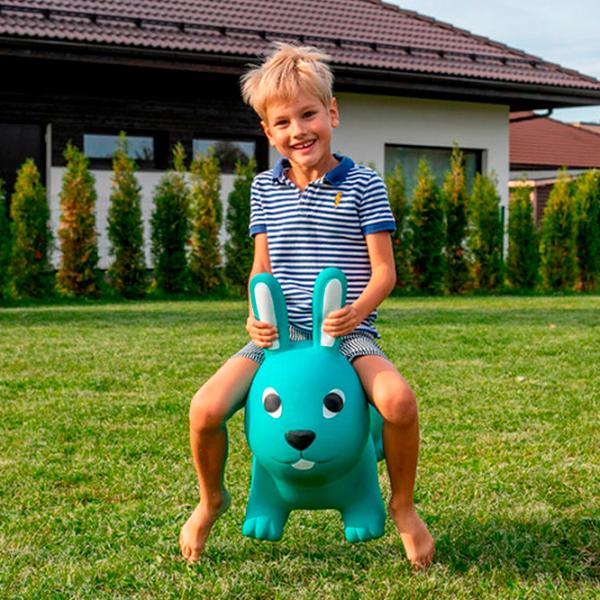  Прыгунки ChiToys Bunny (D36607) / Розовый photo 3