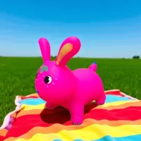 Jumper ChiToys Bunny (D36607) / Multicolor photo 4