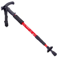 Bețe de mers nordic Arenasport 91053 Aluminiu / 1100 mm