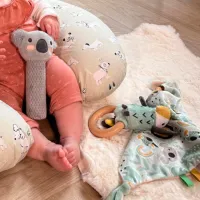Jucărie zornăitoare Nuby ID89076 de la 3 luni photo 4