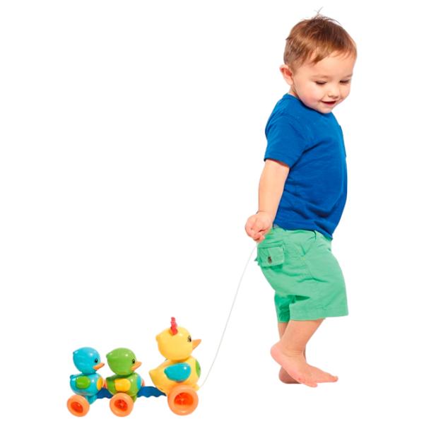 Игрушка каталка Tomy E4613 1280133 10+ месяцев / Разноцветный photo 3