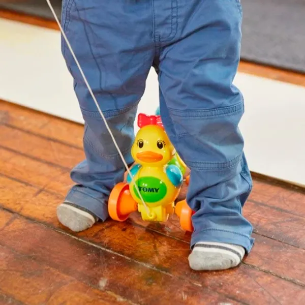 Игрушка каталка Tomy E4613 1280133 10+ месяцев / Разноцветный photo 4