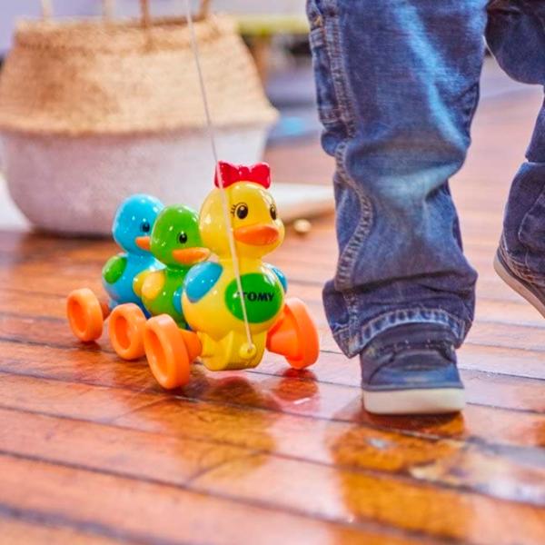 Игрушка каталка Tomy E4613 1280133 10+ месяцев / Разноцветный photo 5