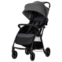Cărucior pentru copil Lorelli Stroller Fresh / Grey Icy