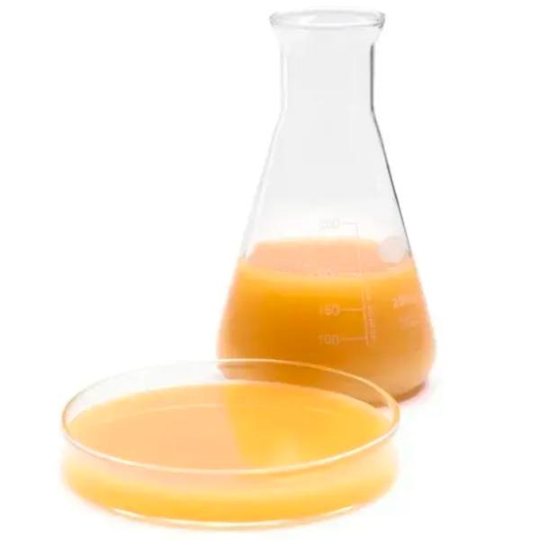 Nadă Tiger Nut Extract Xufex Nucă tigroasă / /  photo 2