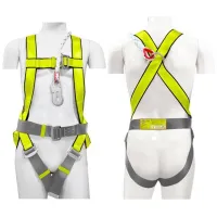 Ремень безопасности DYLLU DTSQ1513 Зеленый / Полиэстер