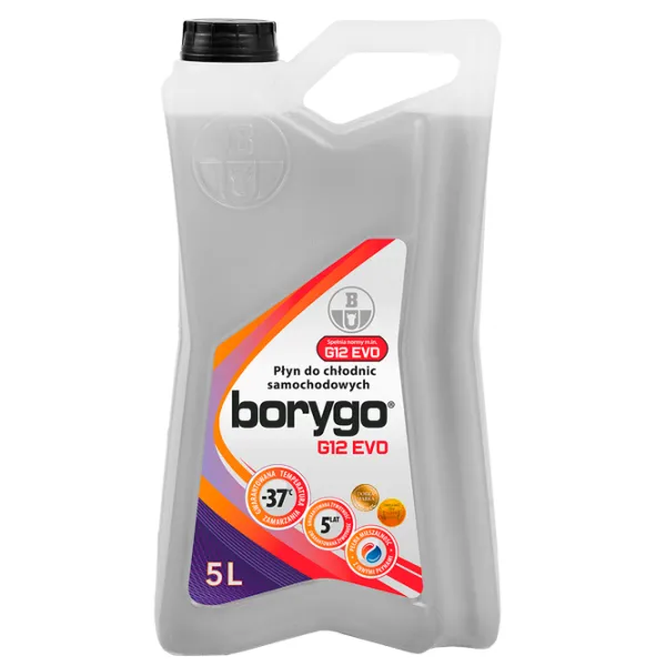 Antigel Borygo EVO 5l Violet photo 1