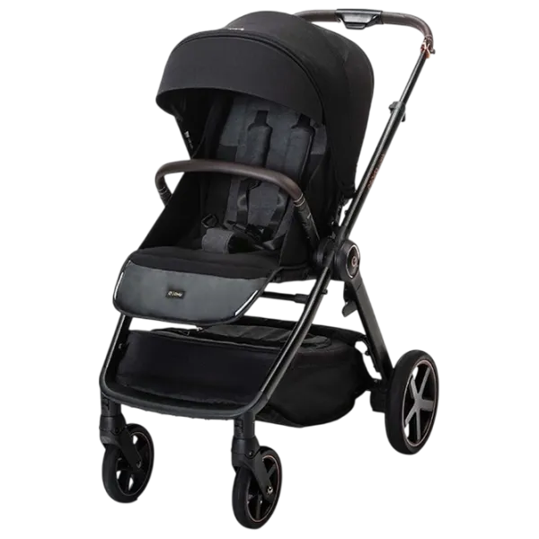 Cărucior pentru copil Espiro Only Way 5905683800211/ Black photo 1