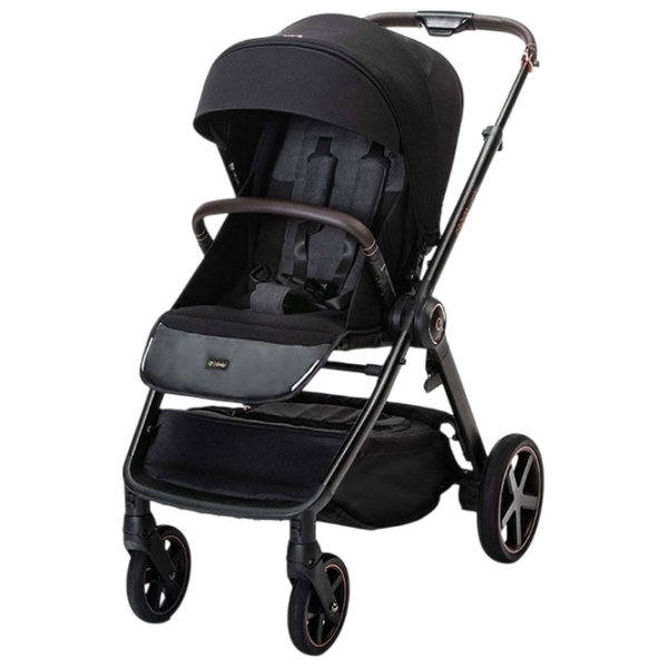 Cărucior pentru copil Espiro Only Way 5905683800211/ Black photo 1