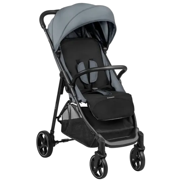 Cărucior pentru copil Kikka Boo Alexa KB.123817/ Gray photo 1