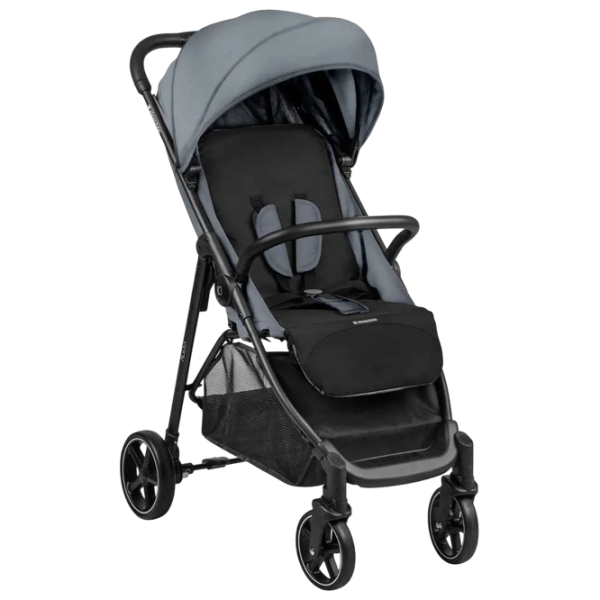 Cărucior pentru copil Kikka Boo Alexa KB.123817/ Gray photo 1