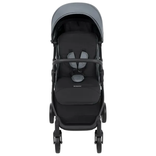 Cărucior pentru copil Kikka Boo Alexa KB.123817/ Gray photo 2