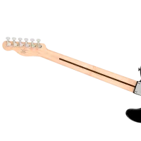 Chitară electrică Fender Squier Affinity Series Telecaster MF 4/4, photo 8