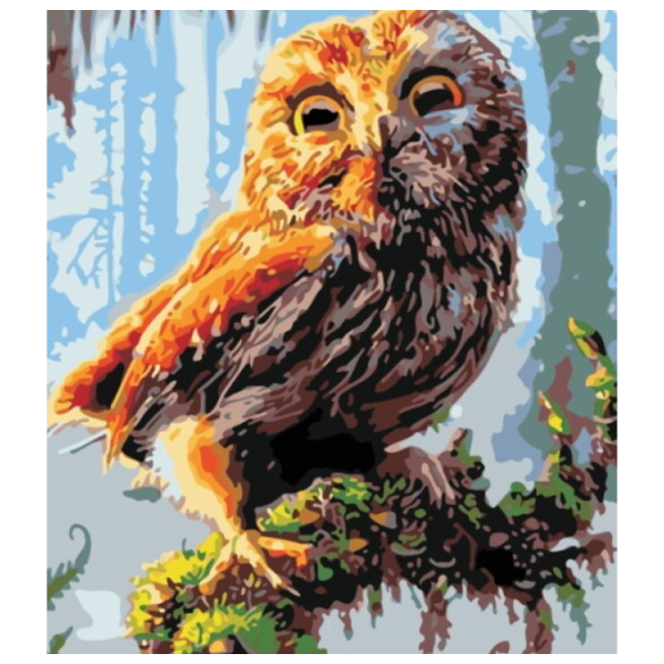 Картина по номерам PRC Сова 03970 50 x 40 см / Вертикальная photo 1