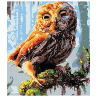 Картина по номерам PRC Сова 03970 50 x 40 см / Вертикальная