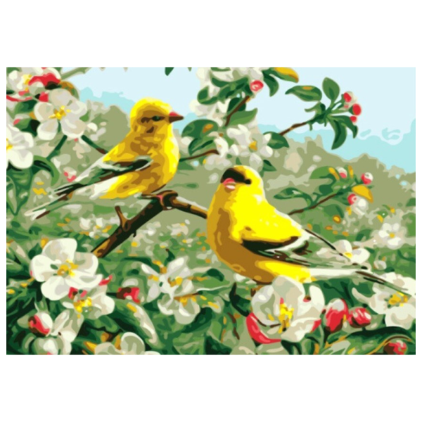 Картина по номерам PRC Птицы весны 03949 50 x 40 см / Горизонтальная photo 1