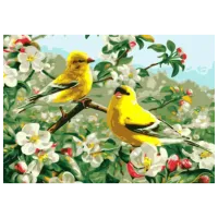Картина по номерам PRC Птицы весны 03949 50 x 40 см / Горизонтальная