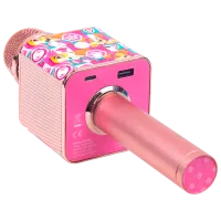 Microfon Paw Patrol EMX-010246 Pink photo 5