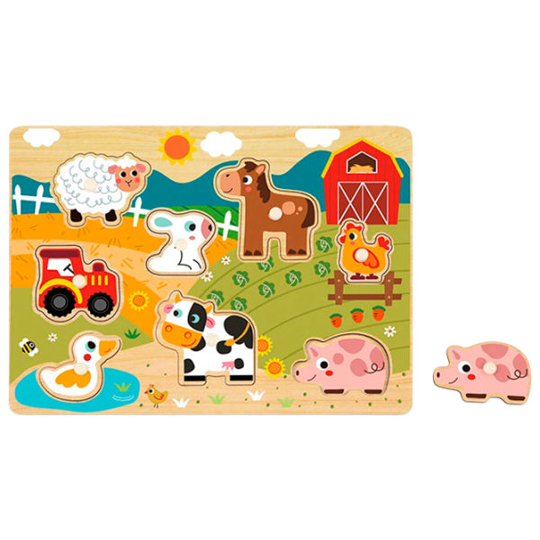 Развивающий набор Tooky Toy HP024 51483 1+ / Разноцветный Разноцветный photo 1