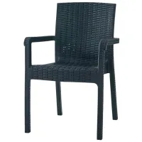 Scaun de grădină Heniver Vector Plastic / Plastic / Antracit Antracit