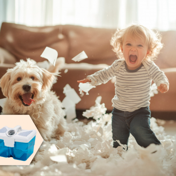 Моющий пылесос THOMAS DryBox Amfibia Pro 4ALL 1700 Вт / White Черный photo 3 Моющий пылесос THOMAS DryBox Amfibia Pro 4ALL 1700 Вт / White Черный photo 3