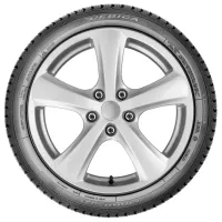 Шины Debica Frigo HP 2 205/55 R17 95V Зимние / Легковой photo 2